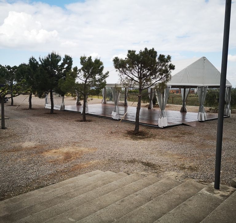 Tarima para carpas