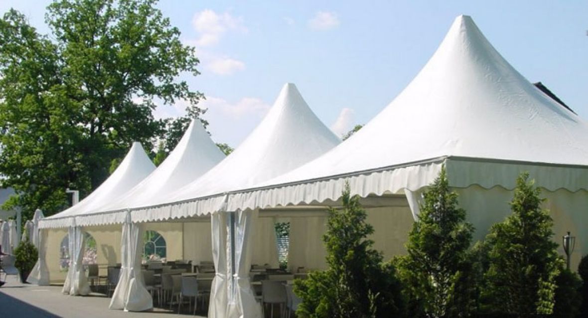 Carpa Pagoda